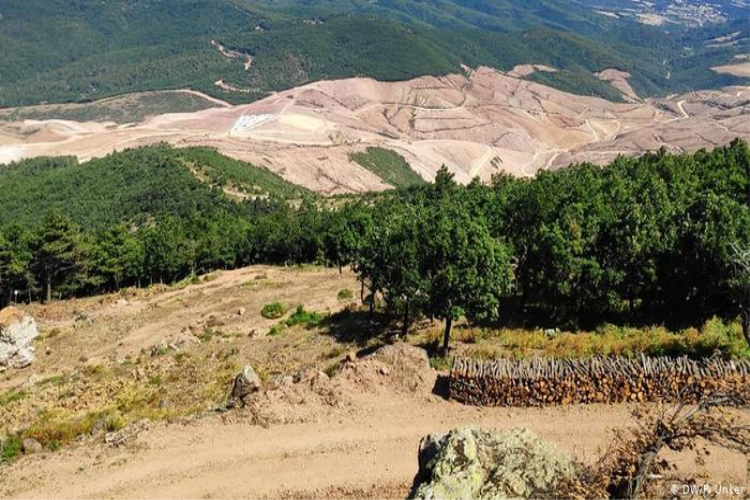 Kaz Dağları'nda ormansızlaşma ve çevresel tahribat uyarısı