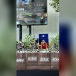 Scrap logolu çantalarda zeytin fidanları ve Geleceğe Nefes ekranı, Tıbbi Cihaz Yönetişim Zirvesi 2.0